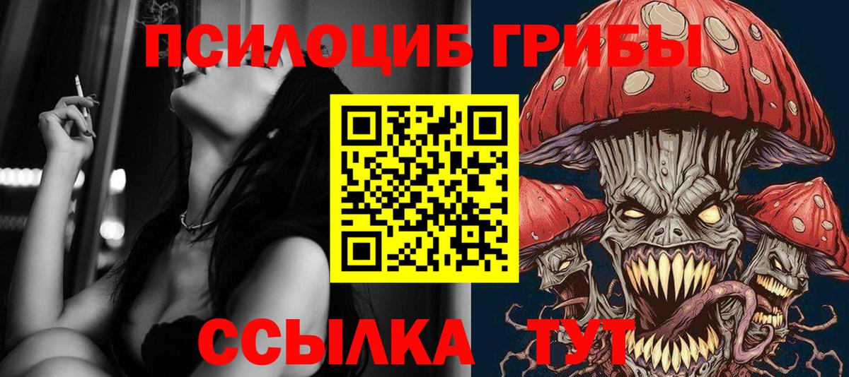 Псилоцибиновые грибы Magic Shrooms Псков