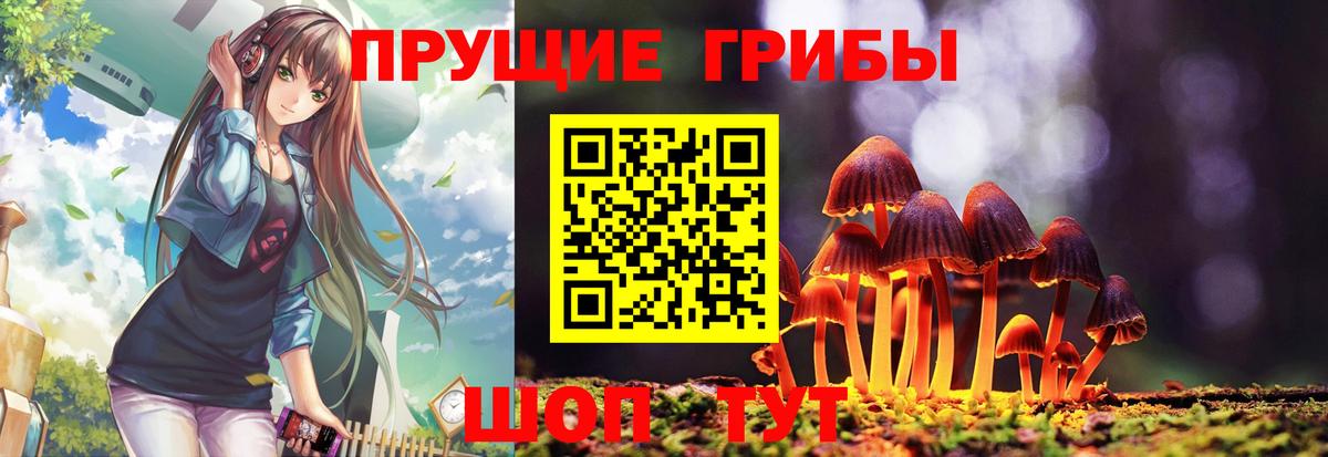 хочу наркоту  Вход с VPN  Псков  Псилоцибиновые грибы GOLDEN TEACHER 
